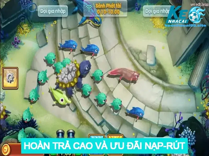 Dịch vụ hỗ trợ khách hàng 24/7