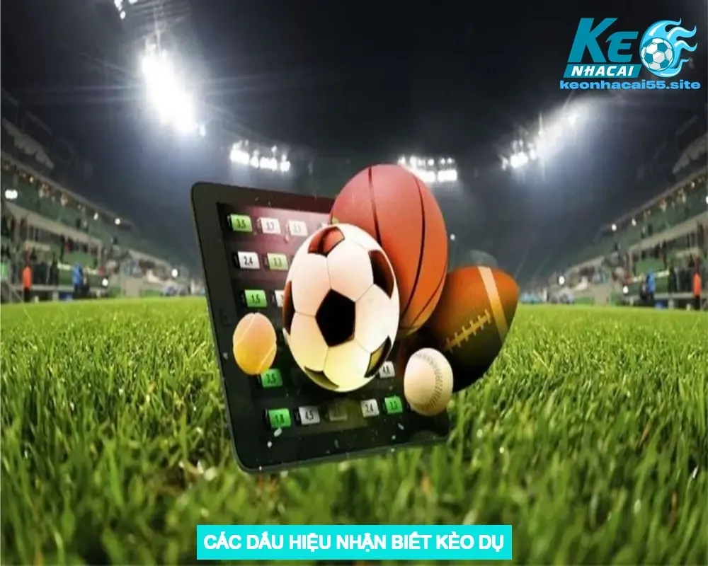 Các Dấu Hiệu Nhận Biết Kèo Dụ