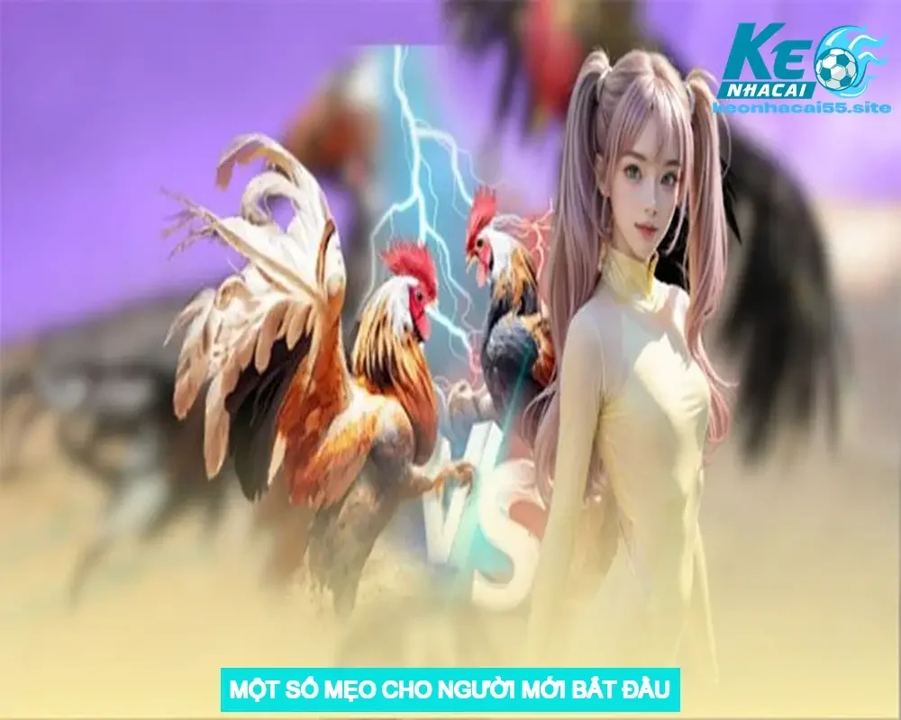 Một số mẹo cho người mới bắt đầu