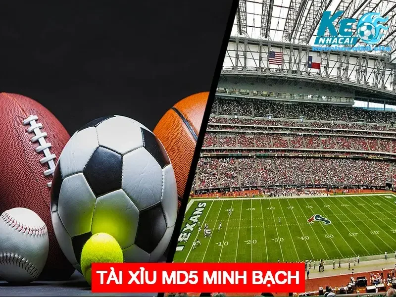 COBET - Khám Phá Nhà Cái Cá Cược An Toàn Và Hấp Dẫn 5 Tài xỉu MD5 minh bạch